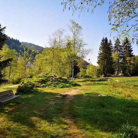 B2 Albmatte Menzenschwand
