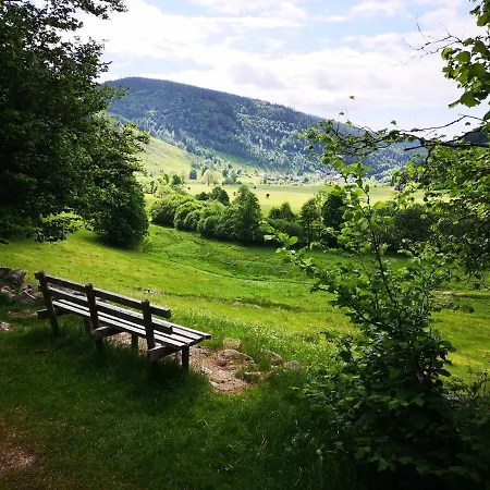 B2 Albmatte * Menzenschwand