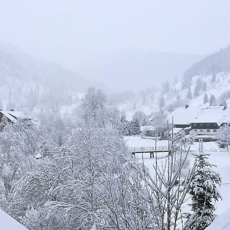 Apartment B2 Albmatte Menzenschwand