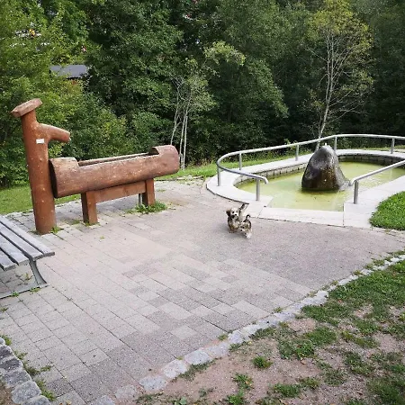 B2 Albmatte * Menzenschwand