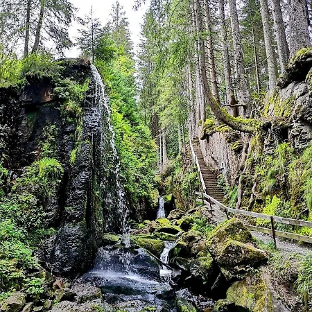 B2 Albmatte * Menzenschwand